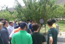 گزارش تصویری از همایش پیاده روی کارکنان در 22 اردیبهشت ماه 